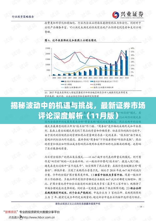 2024年12月6日 第15页