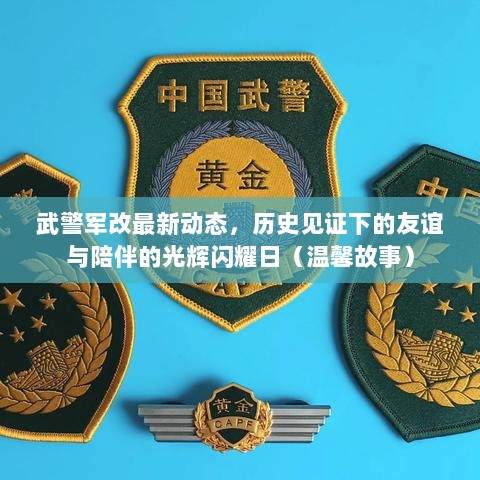 武警军改最新动态，历史见证下的友谊与陪伴的光辉闪耀日（温馨故事）