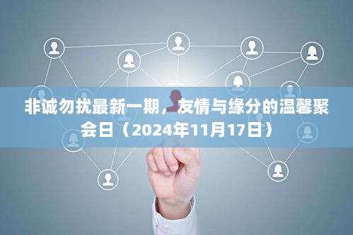 非诚勿扰最新一期，友情与缘分的温馨聚会日（2024年11月17日）