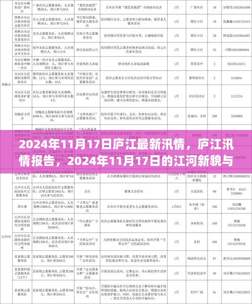 2024年11月17日庐江最新汛情，庐江汛情报告，2024年11月17日的江河新貌与影响