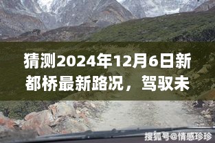 新都桥智能路况预测系统发布，驾驭未来路况，预测2024年最新新都桥路况揭晓