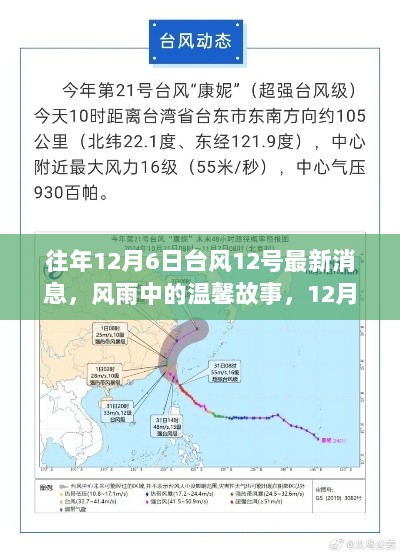 风雨中的温馨故事与奇妙经历，往年12月6日台风12号最新消息回顾