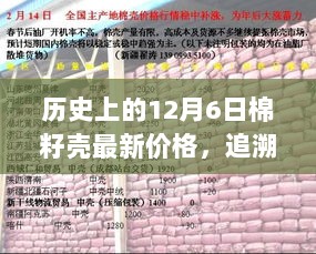 历史上的12月6日棉籽壳最新价格，追溯历史，揭秘十二月六日棉籽壳价格变迁