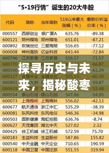 探寻历史与未来，揭秘酸枣仁价格走势，揭秘最新行情大揭秘（2023年炒酸枣仁价格大揭秘）