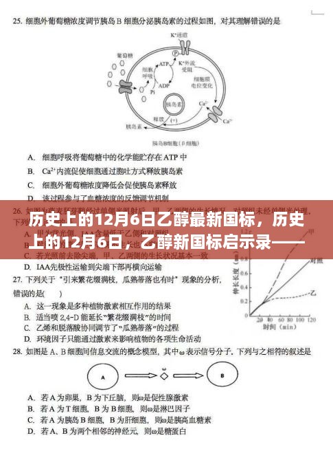 历史上的12月6日乙醇新国标启示录，变化中的自信与成就，挑战中的勇往直前