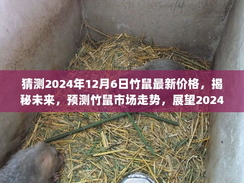 猜测2024年12月6日竹鼠最新价格，揭秘未来，预测竹鼠市场走势，展望2024年竹鼠最新价格