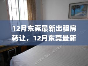 12月东莞最新出租房转让全攻略，寻找理想住所的指南