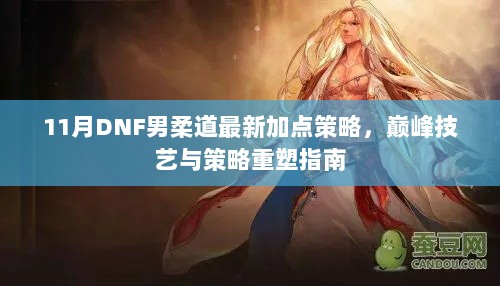 11月DNF男柔道最新加点策略，巅峰技艺与策略重塑指南