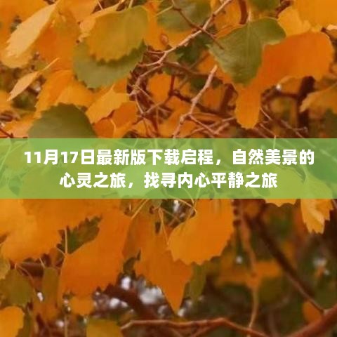 11月17日最新版下载启程，自然美景的心灵之旅，找寻内心平静之旅