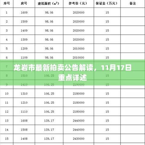 龙岩市最新拍卖公告解读，11月17日重点详述