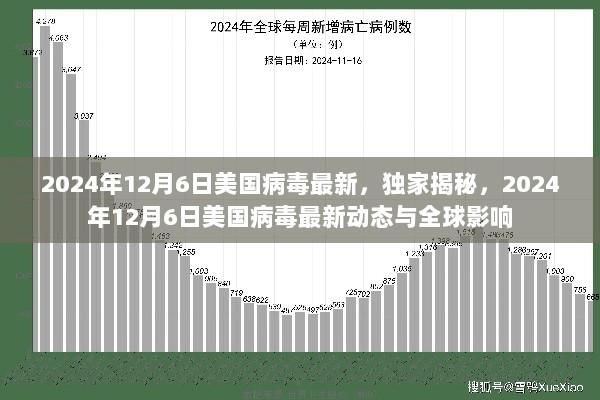 独家揭秘，2024年12月6日美国病毒最新动态及其全球影响概述