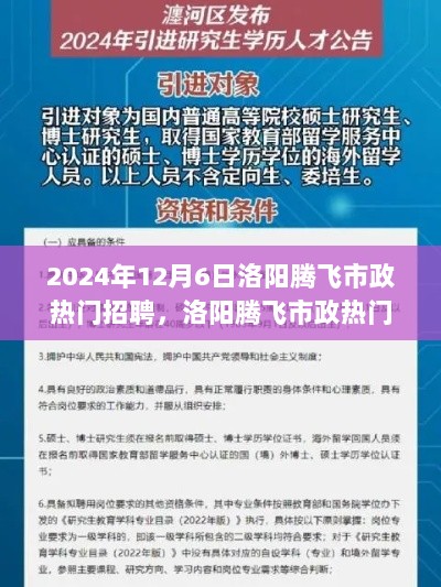 2024年12月6日洛阳腾飞市政热门招聘，洛阳腾飞市政热门招聘活动深度评测