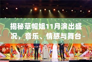 揭秘草帽姐11月演出盛况，音乐、情感与舞台魅力的交融之夜