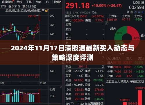 2024年11月17日深股通最新买入动态与策略深度评测