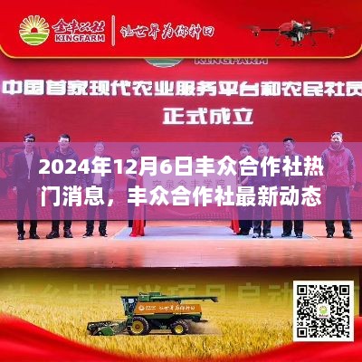 丰众合作社最新动态指南，热门消息与任务操作详解（2024年12月6日）