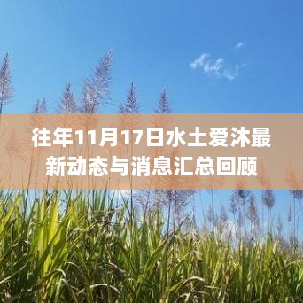 往年11月17日水土爱沐最新动态与消息汇总回顾