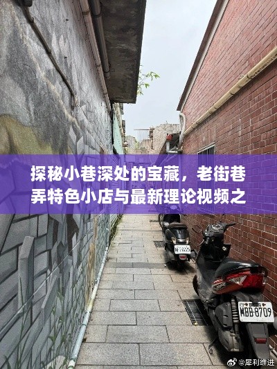 探秘小巷深处的宝藏，老街巷弄特色小店与最新理论视频之旅（2024年11月17日）