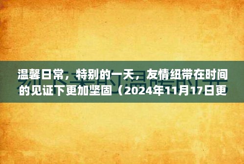 温馨日常，特别的一天，友情纽带在时间的见证下更加坚固（2024年11月17日更新）