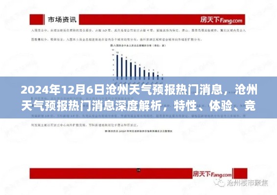 2024年12月6日沧州天气预报深度解析，特性、体验、竞品对比及用户群体分析