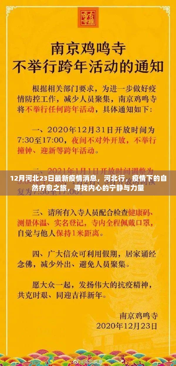 河北疫情下的自然疗愈之旅，寻找内心的宁静与力量最新消息（12月23日）