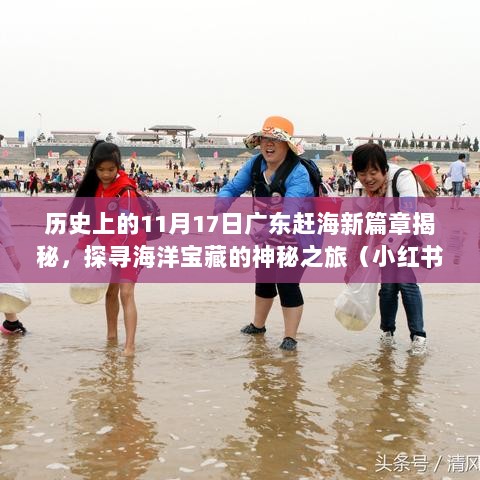 历史上的11月17日广东赶海新篇章揭秘，探寻海洋宝藏的神秘之旅（小红书热推）