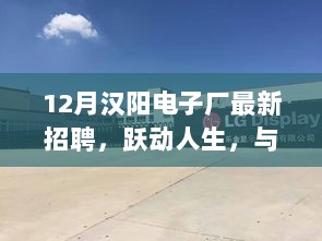 12月汉阳电子厂招聘启事，跃动人生，共筑梦想之桥