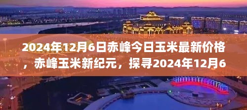 赤峰玉米市场最新动态，价格波澜起伏与未来展望（2024年12月6日）