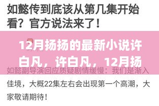 许白凡，12月扬扬最新小说深度测评与揭秘