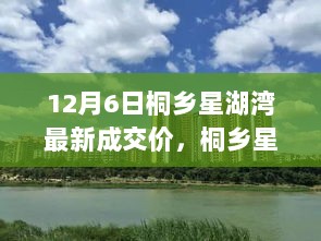 桐乡星湖湾，成交奇迹与学习成就共鉴成长之路（最新成交价报道）