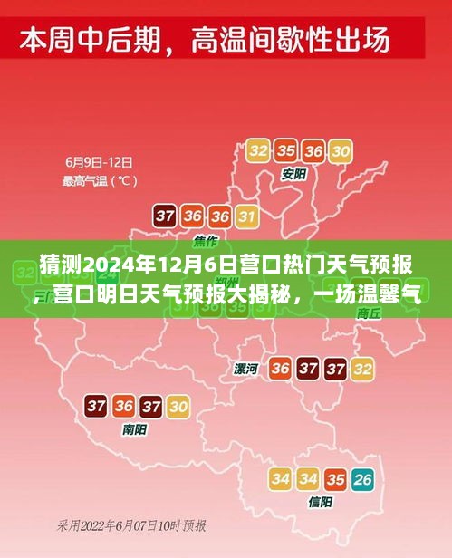 温馨气象之旅，营口明日天气预报大揭秘（2024年12月6日）