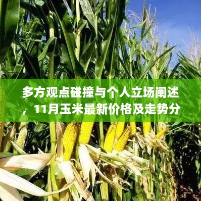 多方观点碰撞与个人立场阐述，11月玉米最新价格及走势分析