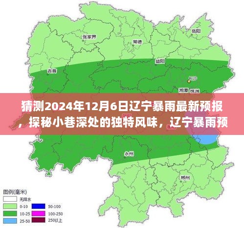 探秘辽宁暴雨预报下的独特风味与惊喜发现，2024年辽宁暴雨最新预报分析