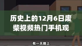 探秘历史上的十二月六日，废柴视频宝藏馆与手机观看热潮