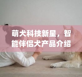 萌犬科技新星，智能伴侣犬产品介绍，11月最新萌犬科技产品亮相