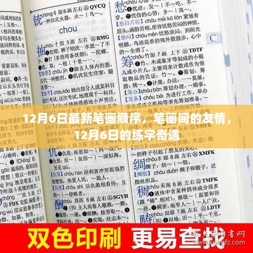 12月6日练字奇遇，笔画间的友情与最新笔画顺序探索