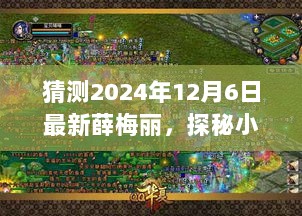 猜测2024年12月6日最新薛梅丽，探秘小巷深处的独特风味——薛梅丽小店，一场未知的味蕾冒险之旅