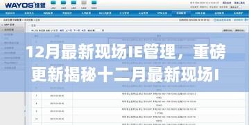 12月最新现场IE管理，重磅更新揭秘十二月最新现场IE管理秘籍，打造高效生产力！