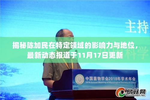 揭秘陈加民在特定领域的影响力与地位，最新动态报道于11月17日更新