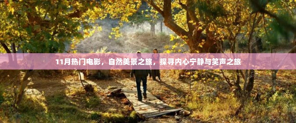 11月热门电影，自然美景之旅，探寻内心宁静与笑声之旅