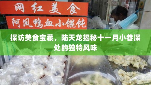 探访美食宝藏，陆天龙揭秘十一月小巷深处的独特风味