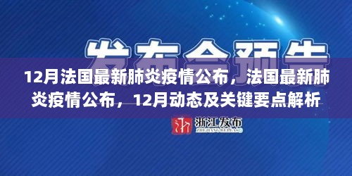 法国最新肺炎疫情动态解析，12月关键要点报告