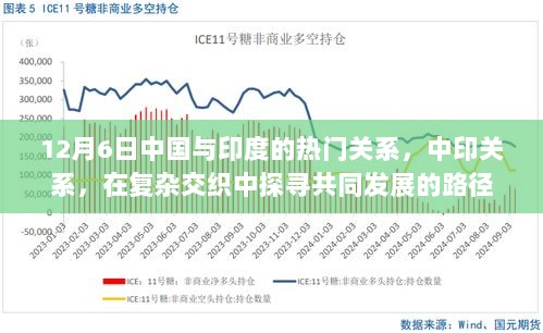 中印关系，探寻共同发展之路，复杂交织中的热门话题