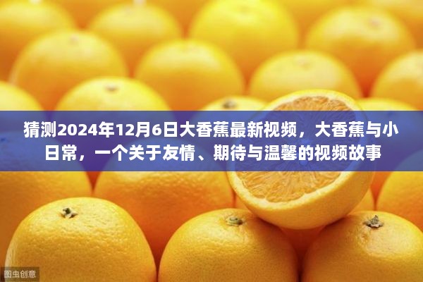 大香蕉与小日常，友情、期待与温馨的2024年视频故事