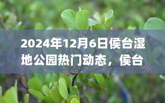 侯台湿地公园生态盛事，绿色印记下的时代风采（2024年12月6日）