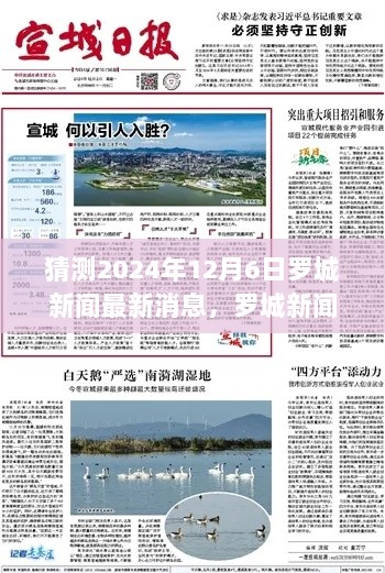 独家预测，罗城新闻2024年12月6日最新消息概览