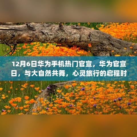 华为官宣日，共舞自然，启程心灵旅行时刻