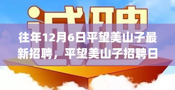 平望美山子招聘日深度解析，观点争议与个人立场探讨