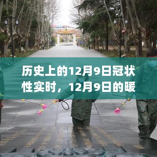 12月9日冠状性实时冒险，暖心日常的突发与应对