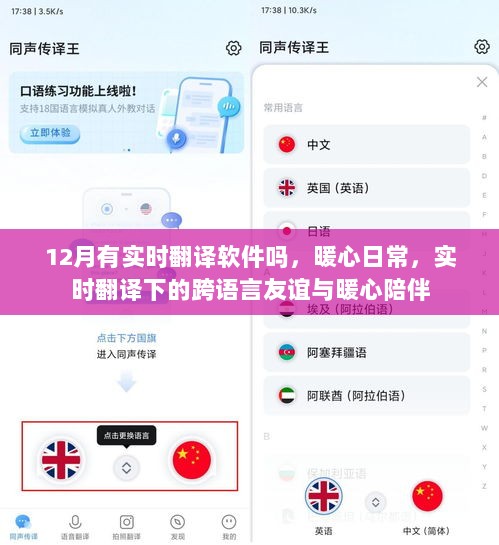 实时翻译软件助力暖心日常，跨语言友谊与陪伴的奇迹