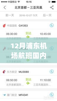 科技引领航班查询新纪元，浦东机场航班动态实时掌握（十二月版）